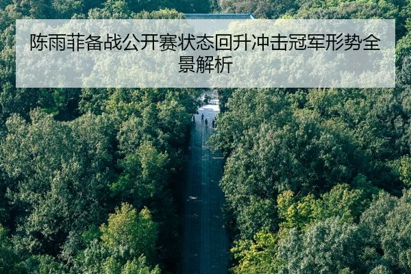 陈雨菲备战公开赛状态回升冲击冠军形势全景解析